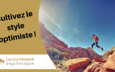 Voulez-vous cultiver le style optimiste?